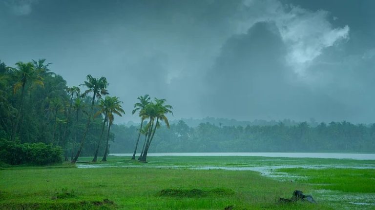 കാലവർഷം നാളെ എത്തും: കനത്തമഴയ്ക്ക് സാദ്ധ്യത: എല്ലാ ജില്ലകളിലും മുന്നറിയിപ്പ് നൽകി