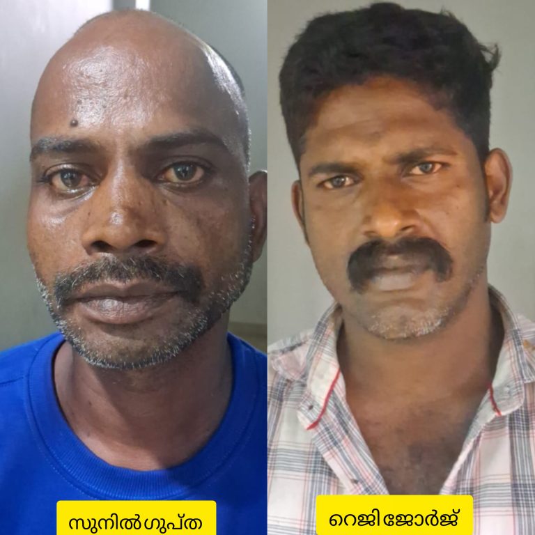 കടമ്മനിട്ടയിൽ യുവാവിനെ കാറിലെത്തി വെട്ടിക്കൊലപ്പെടുത്താൻ ശ്രമിച്ച സംഘത്തിലെ രണ്ടുപേർ അറസ്റ്റിൽ