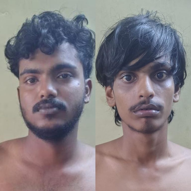 ഓട്ടോറിക്ഷയിൽ നിന്ന് സ്വർണ്ണ നെക്ലസും മുപ്പതിനായിരം രൂപയും മോഷ്ടിച്ച പ്രതികൾ പിടിയിലായി